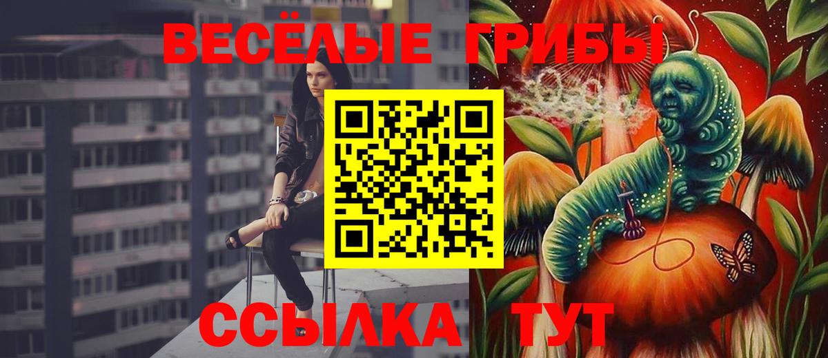 Галлюциногенные грибы GOLDEN TEACHER Ишим