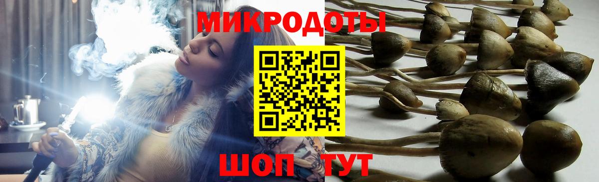Ишим  Псилоцибиновые грибы мухоморы  Вход с VPN 